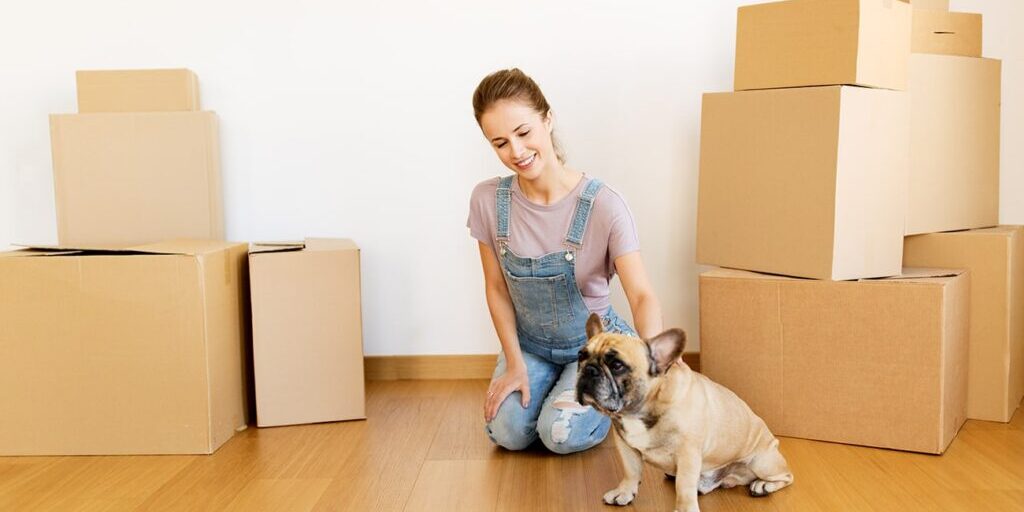 Protecting your dog during house removals